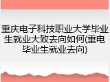 重庆电子科技职业大学毕业生就业大致去向如何(重电毕业生就业去向)