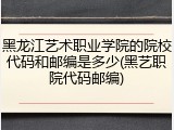 黑龙江艺术职业学院的院校代码和邮编是多少(黑艺职院代码邮编)