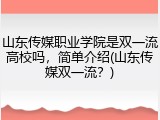 山东传媒职业学院是双一流高校吗，简单介绍(山东传媒双一流？)