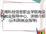 云南科技信息职业学院有没有就业指导中心，详细介绍(云科院就业指导)
