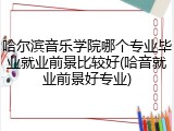哈尔滨音乐学院哪个专业毕业就业前景比较好(哈音就业前景好专业)