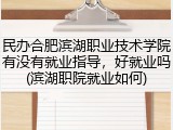 民办合肥滨湖职业技术学院有没有就业指导，好就业吗(滨湖职院就业如何)