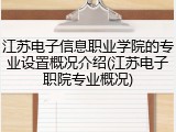 江苏电子信息职业学院的专业设置概况介绍(江苏电子职院专业概况)