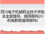 四川电子机械职业技术学院含金量量吗，值得报吗(川机电职院值得报吗)