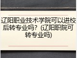 辽阳职业技术学院可以进校后转专业吗？(辽阳职院可转专业吗)