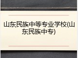 山东民族中等专业学校(山东民族中专)