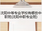 沈阳中等专业学校有哪些中职班(沈阳中职专业班)