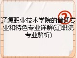 辽源职业技术学院的普通专业和特色专业详解(辽职院专业解析)