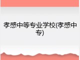 孝感中等专业学校(孝感中专)