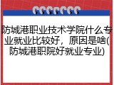 防城港职业技术学院什么专业就业比较好，原因是啥(防城港职院好就业专业)