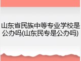 山东省民族中等专业学校是公办吗(山东民专是公办吗)