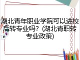 湖北青年职业学院可以进校后转专业吗？(湖北青职转专业政策)