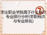 枣庄职业学院属于什么档次，专业排行分析(枣职档次与专业排名)