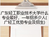 广东轻工职业技术大学什么专业最好，一年招多少人(广轻工优势专业及招生)