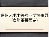 宿州艺术中等专业学校萧县(宿州萧县艺专)