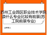 苏州工业园区职业技术学院读什么专业比较有前景(苏工院前景专业)