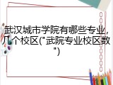 武汉城市学院有哪些专业，几个校区("武院专业校区数")