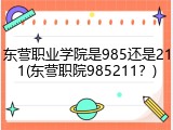 东营职业学院是985还是211(东营职院985211？)