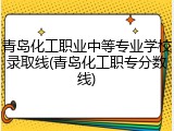 青岛化工职业中等专业学校录取线(青岛化工职专分数线)