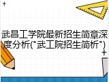 武昌工学院最新招生简章深度分析("武工院招生简析")