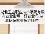 湖北工业职业技术学院有没有就业指导，好就业吗(湖北职院就业指导好吗)