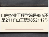 山东农业工程学院是985还是211("山工院985211?")