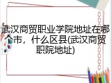 武汉商贸职业学院地址在哪个市，什么区县(武汉商贸职院地址)