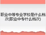 职业中等专业学校是什么档次(职业中专什么档次)