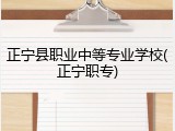 正宁县职业中等专业学校(正宁职专)