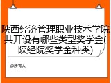 陕西经济管理职业技术学院共开设有哪些类型奖学金(陕经院奖学金种类)