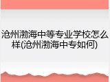 沧州渤海中等专业学校怎么样(沧州渤海中专如何)