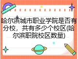 哈尔滨城市职业学院是否有分校，共有多少个校区(哈尔滨职院校区数量)