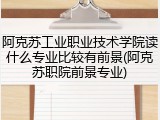 阿克苏工业职业技术学院读什么专业比较有前景(阿克苏职院前景专业)