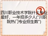四川职业技术学院什么专业最好，一年招多少人("川职院热门专业招生数")