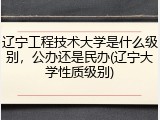 辽宁工程技术大学是什么级别，公办还是民办(辽宁大学性质级别)
