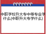 中职学校升大专中等专业学什么(中职升大专学什么)