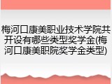梅河口康美职业技术学院共开设有哪些类型奖学金(梅河口康美职院奖学金类型)