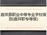 嘉祥县职业中等专业学校级别(嘉祥职专等级)