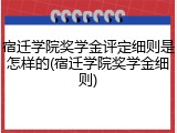 宿迁学院奖学金评定细则是怎样的(宿迁学院奖学金细则)