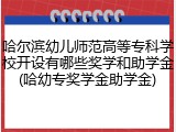 哈尔滨幼儿师范高等专科学校开设有哪些奖学和助学金(哈幼专奖学金助学金)