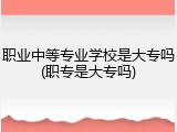 职业中等专业学校是大专吗(职专是大专吗)