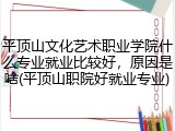 平顶山文化艺术职业学院什么专业就业比较好，原因是啥(平顶山职院好就业专业)
