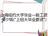 上海纽约大学毕业一般工资多少钱("上纽大毕业薪资")