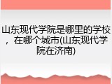 山东现代学院是哪里的学校，在哪个城市(山东现代学院在济南)