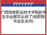 广西信息职业技术学院的学生毕业都怎么样了(桂职院毕业生去向)