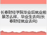 长春财经学院毕业后就业前景怎么样，毕业生去向(长春财经就业去向)