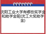 沈阳工业大学有哪些奖学金和助学金呢(沈工大奖助学金)