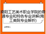 南阳工艺美术职业学院的普通专业和特色专业详解(南工美院专业解析)