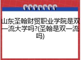 山东圣翰财贸职业学院是双一流大学吗?(圣翰是双一流吗)