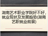 湖南艺术职业学院好不好，就业现状及发展趋势(湖南艺职就业前景)